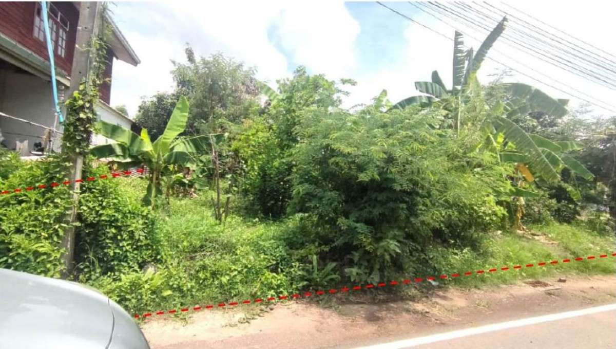 Residential land/lot Khon Kaen Chum Phae Chai So 49000