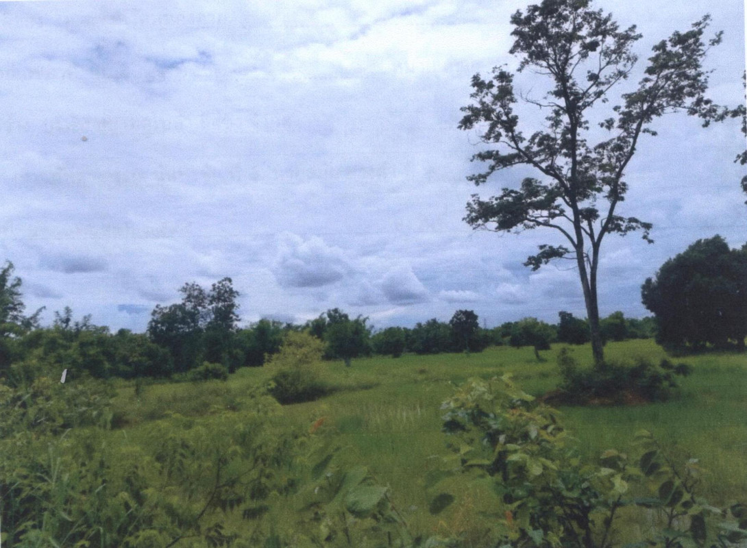 ที่ดินเปล่า อุดรธานี เพ็ญ เพ็ญ 692400