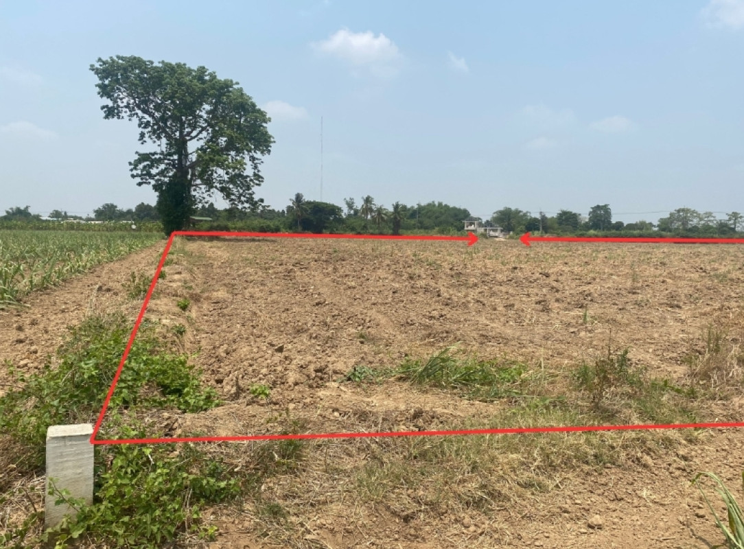 ที่ดินเปล่า สุโขทัย ศรีสำโรง สามเรือน 330200