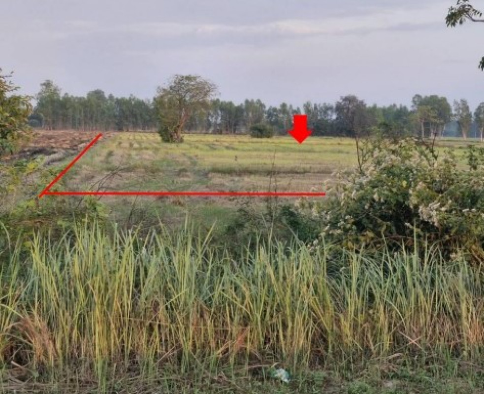 ที่ดินเปล่า พิษณุโลก บางกระทุ่ม วัดตายม 4960000
