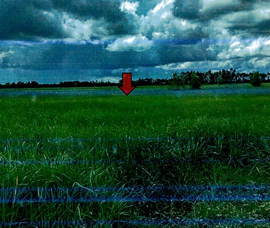 ที่ดินเปล่า สุรินทร์ สังขะ ทับทัน 348700