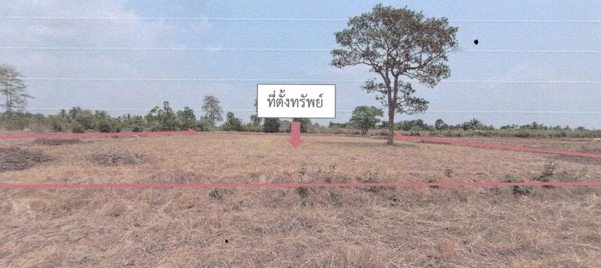 ที่ดินเปล่า สุรินทร์ ปราสาท กังแอน 241380