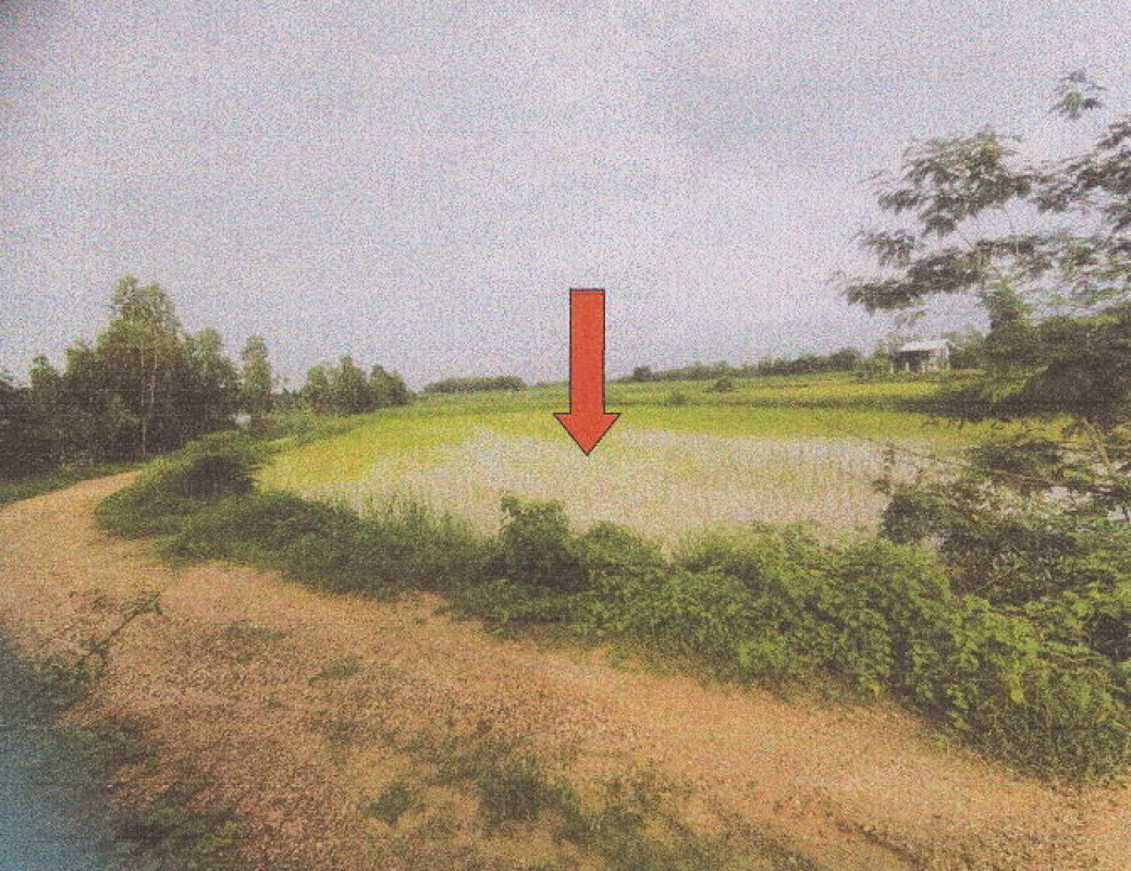 ที่ดินเปล่า มุกดาหาร เมืองมุกดาหาร ดงเย็น 132060