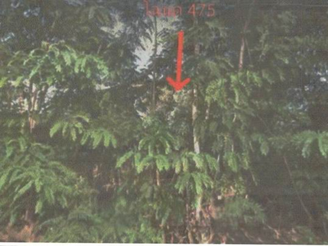 ที่ดินเปล่า ยโสธร กุดชุม ห้วยแก้ง 138000