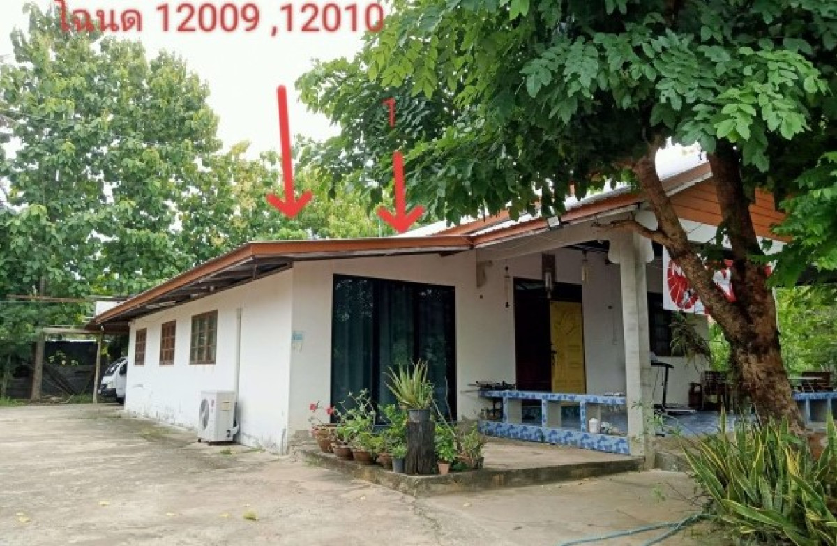 บ้านเดี่ยว บุรีรัมย์ ห้วยราช สามแวง 721560