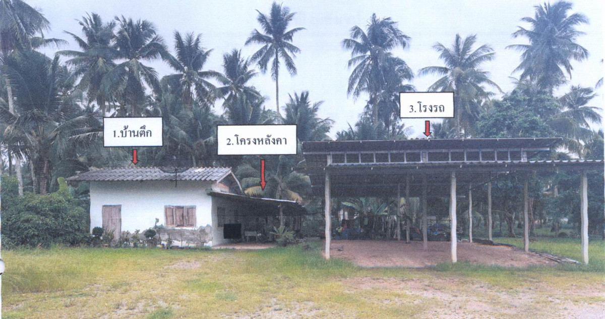 บ้านเดี่ยว ประจวบคีรีขันธ์ บางสะพาน ทองมงคล 642238