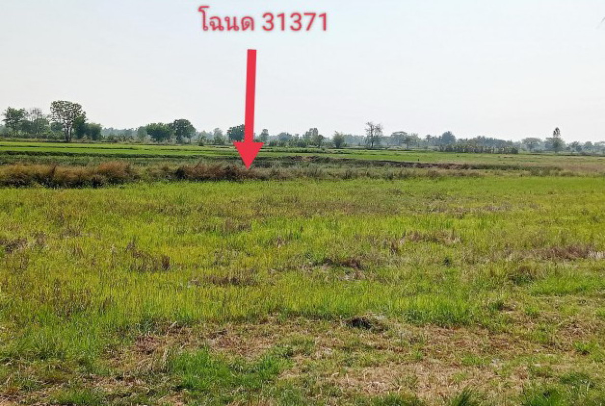 ที่ดินเปล่า มหาสารคาม เชียงยืน หนองซอน 441910