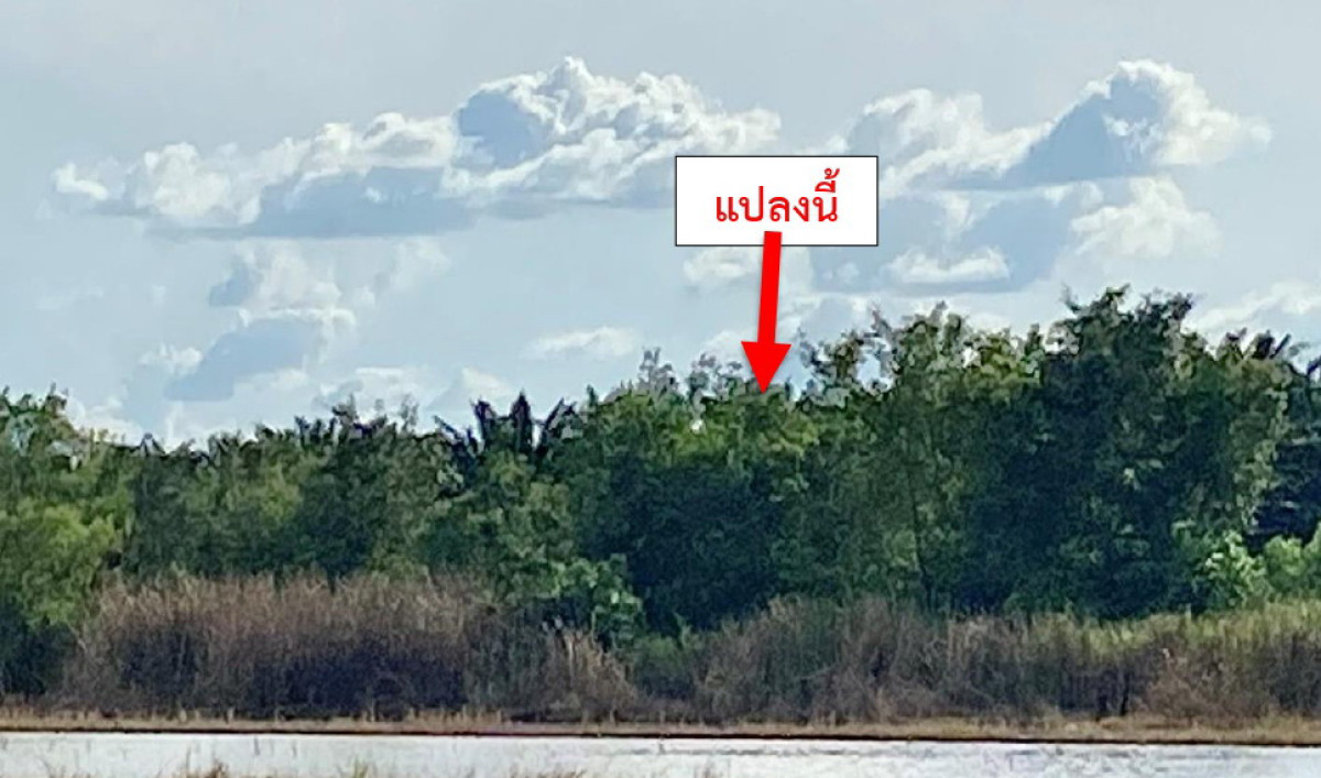 ที่ดินเปล่า นครนายก องครักษ์ ศีรษะกระบือ 100000