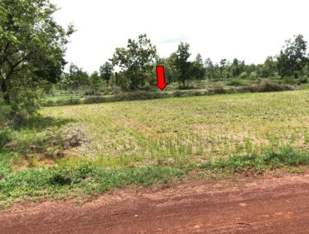 ที่ดินเปล่า สกลนคร วานรนิวาส หนองสนม 205800
