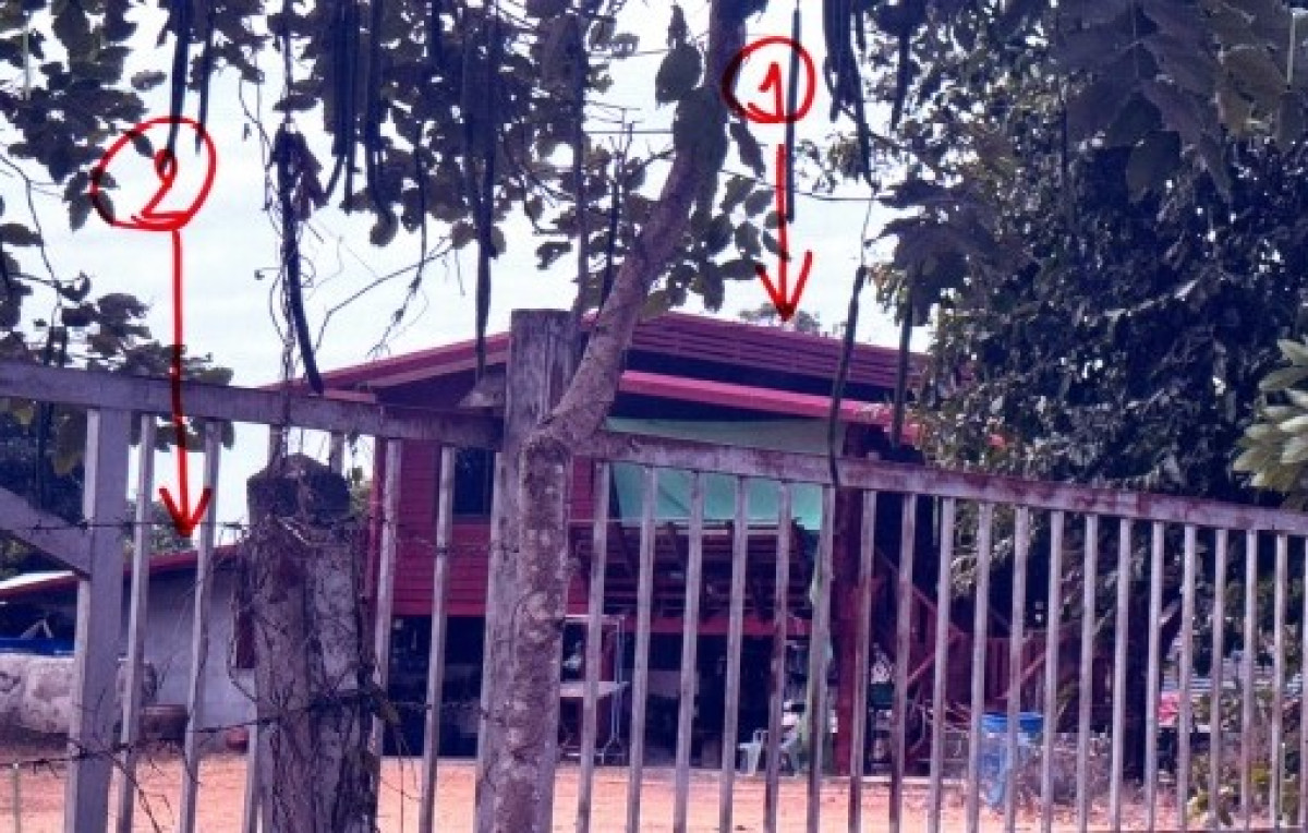 บ้านเดี่ยว บุรีรัมย์ ลำปลายมาศ ทะเมนชัย 606768