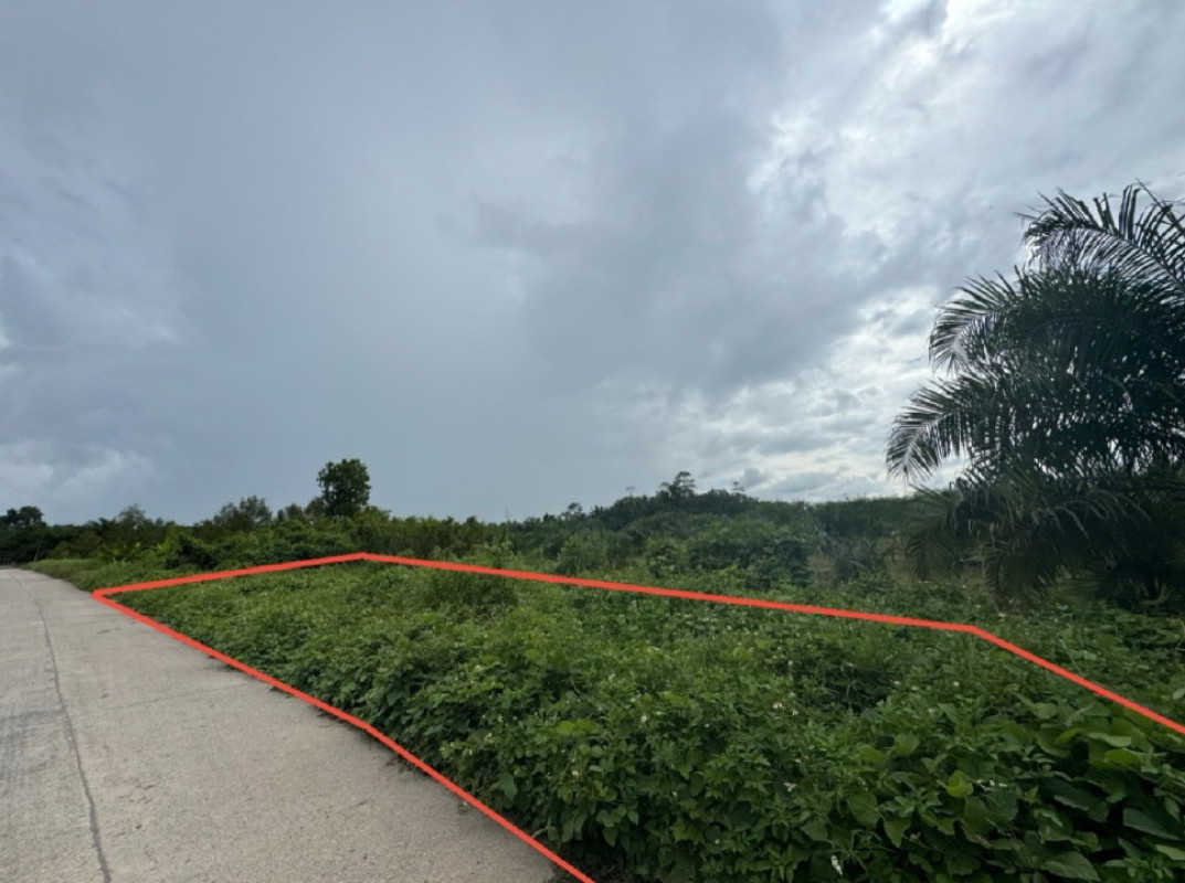 ที่ดินเปล่า สุราษฎร์ธานี พระแสง สินเจริญ 151800