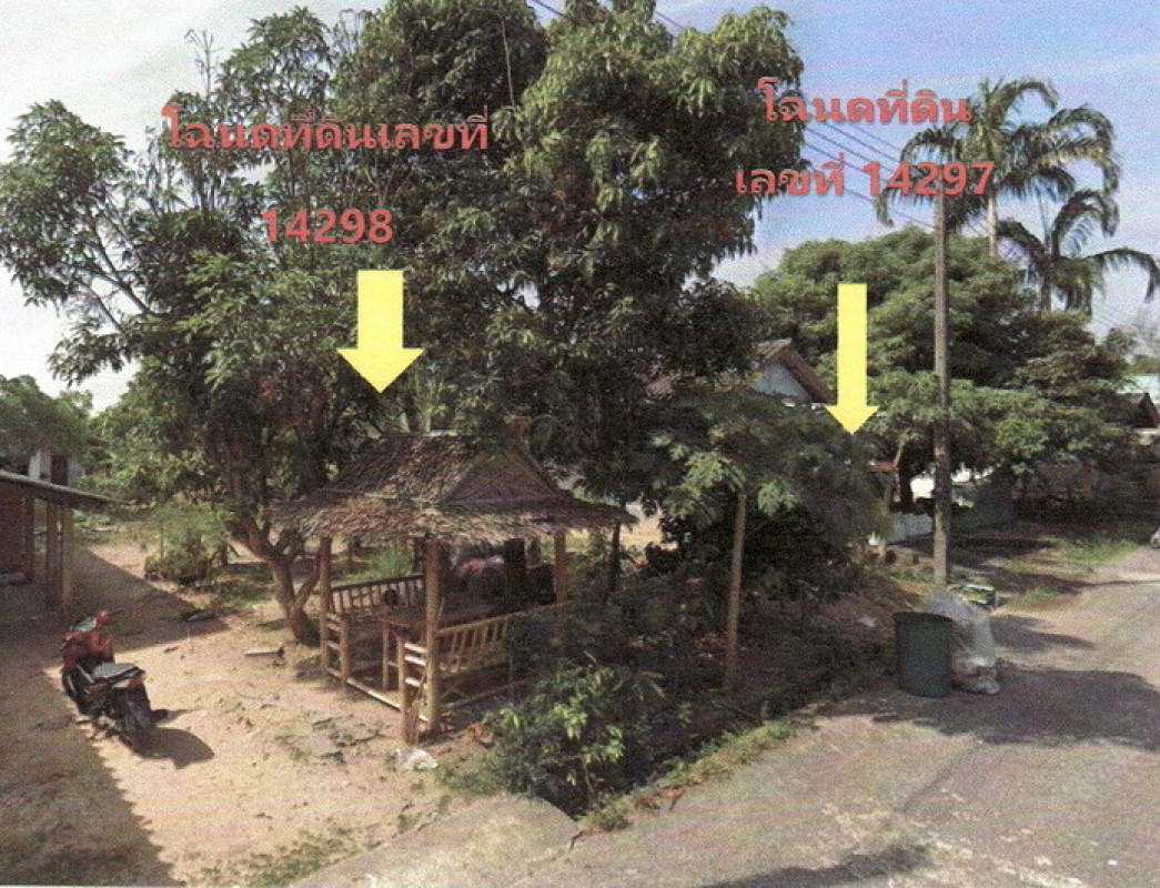 ที่ดินเปล่า พังงา ท้ายเหมือง นาเตย 150000