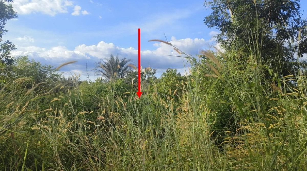 ที่ดินเปล่า นครนายก ปากพลี โคกกรวด 359775