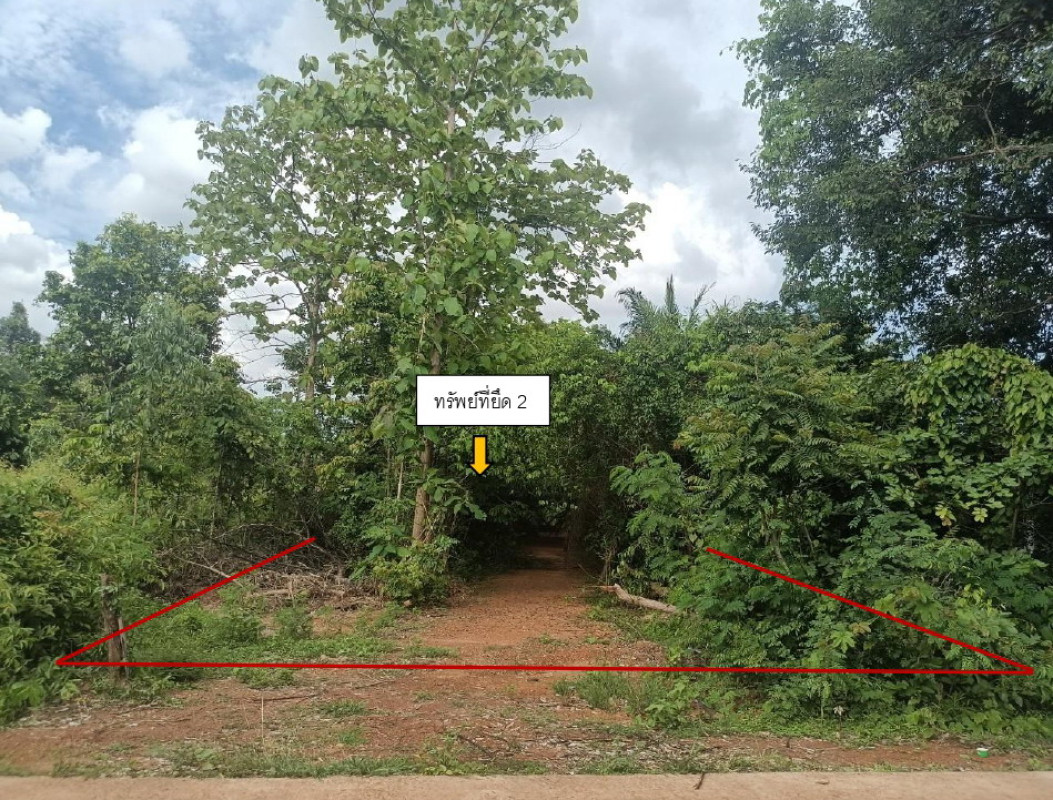 บ้านเดี่ยว สกลนคร อากาศอำนวย นาฮี 384115