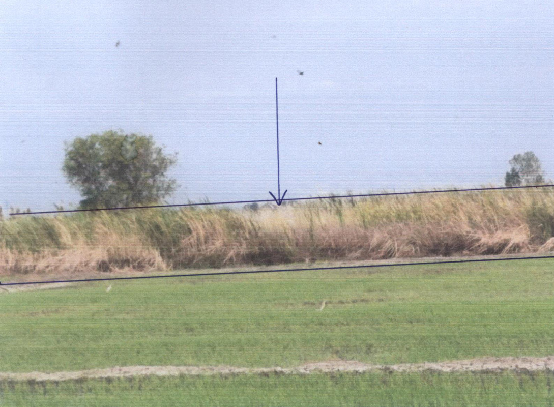 ที่ดินเปล่า พระนครศรีอยุธยา พระนครศรีอยุธยา บ้านรุน 4993000