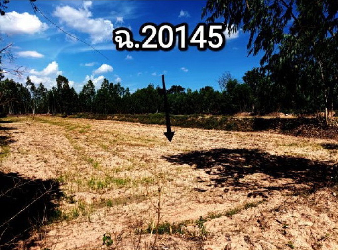 ที่ดินเปล่า มหาสารคาม พยัคฆภูมิพิสัย เมืองเตา 348000