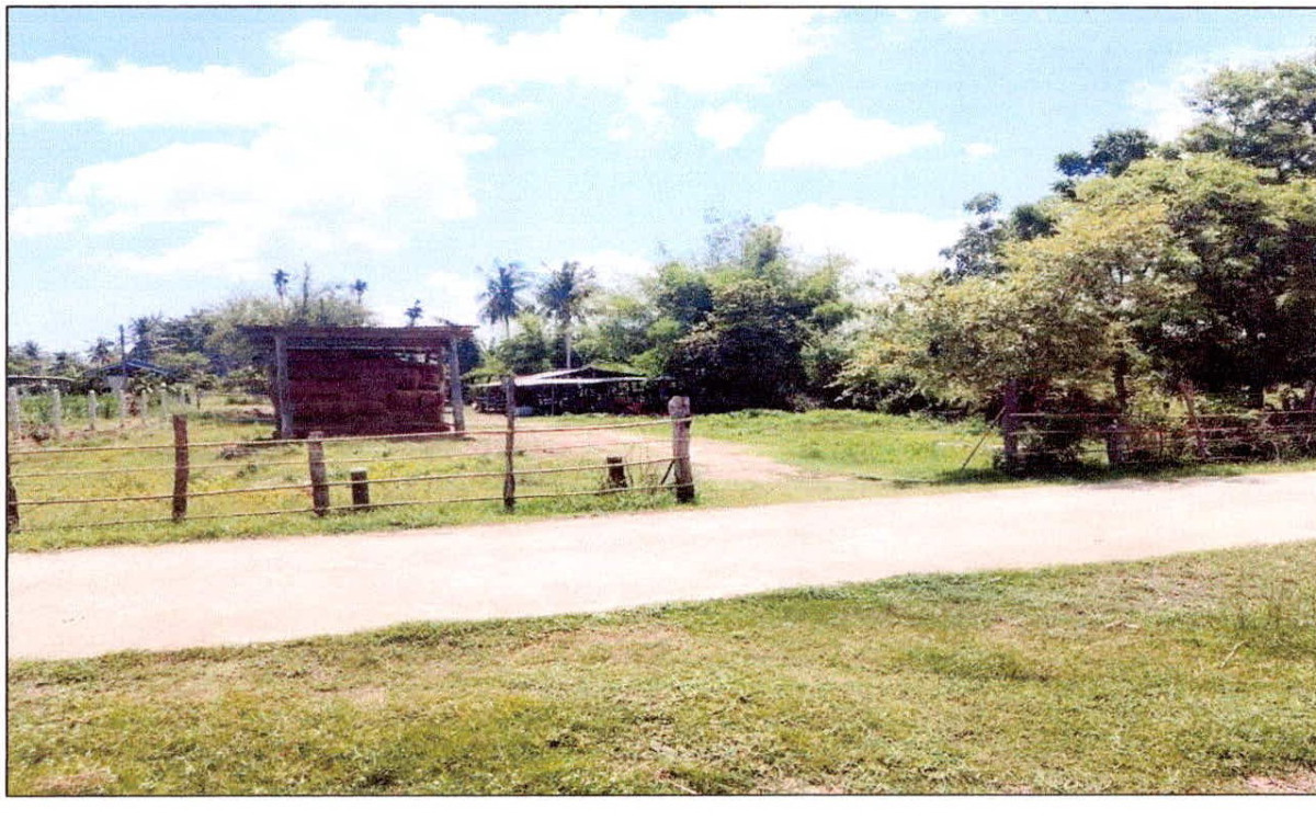 บ้านเดี่ยว สุรินทร์ เมืองสุรินทร์ ตระแสง 148880