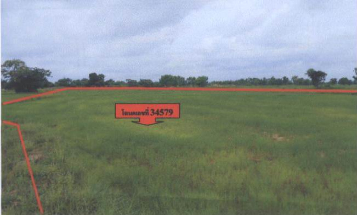 ที่ดินเปล่า มหาสารคาม นาเชือก ปอพาน 294660