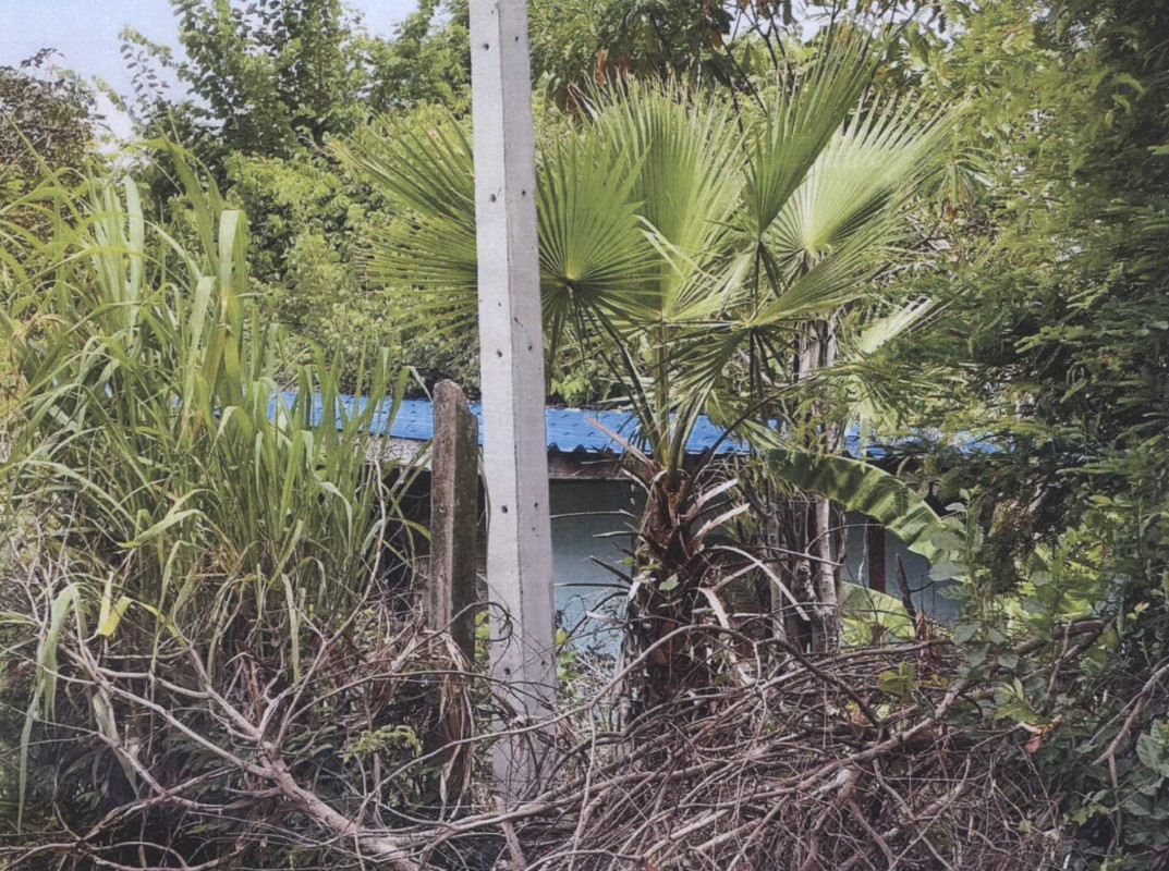 บ้านเดี่ยว สุพรรณบุรี เดิมบางนางบวช ทุ่งคลี 803500