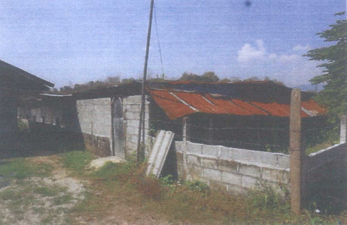 บ้านเดี่ยว อุตรดิตถ์ ท่าปลา ร่วมจิต 1365638