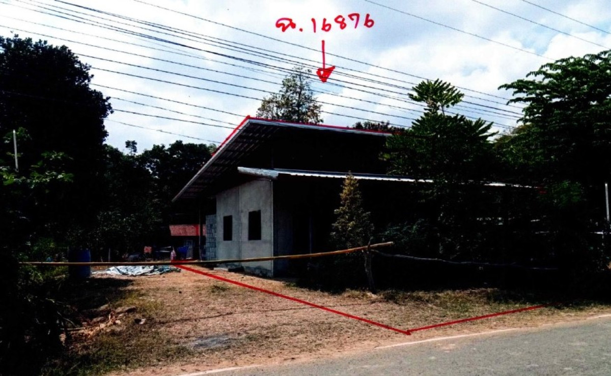 บ้านเดี่ยว บุรีรัมย์ ห้วยราช โคกเหล็ก 501840