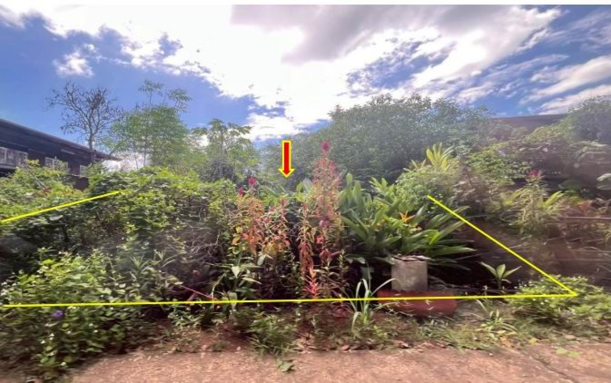 ที่ดินเปล่า สกลนคร วาริชภูมิ ปลาโหล 368700