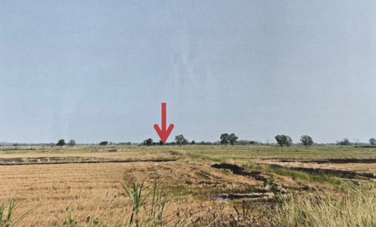 ที่ดินเปล่า พิษณุโลก บางระกำ ท่านางงาม 20000