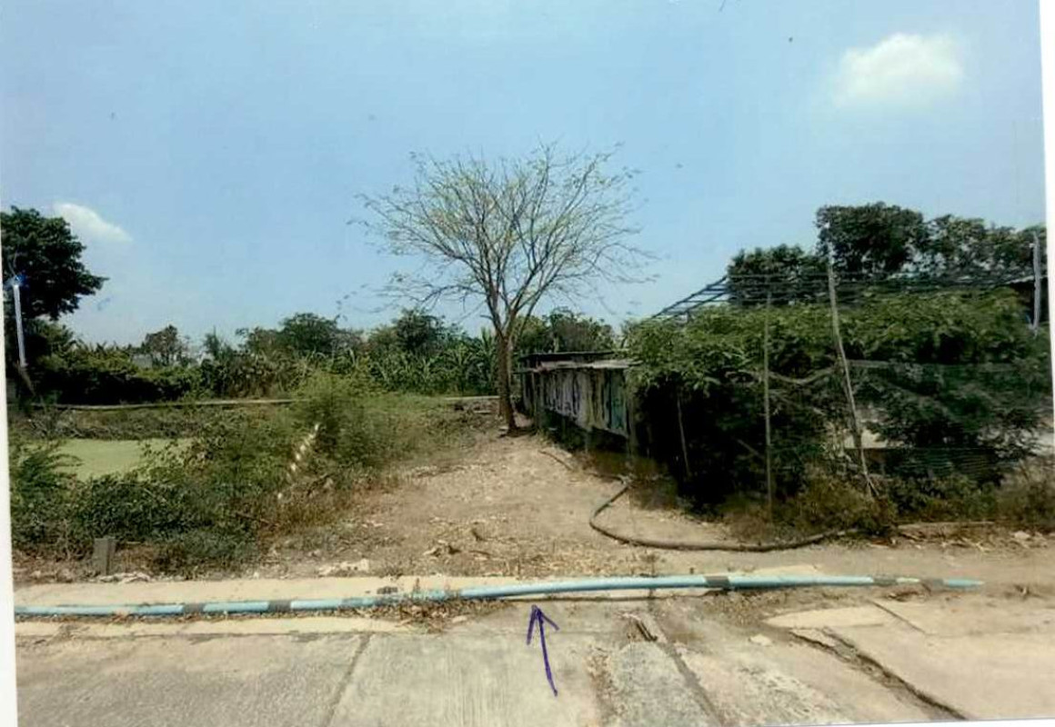 ที่ดินเปล่า พระนครศรีอยุธยา พระนครศรีอยุธยา สวนพริก 320000