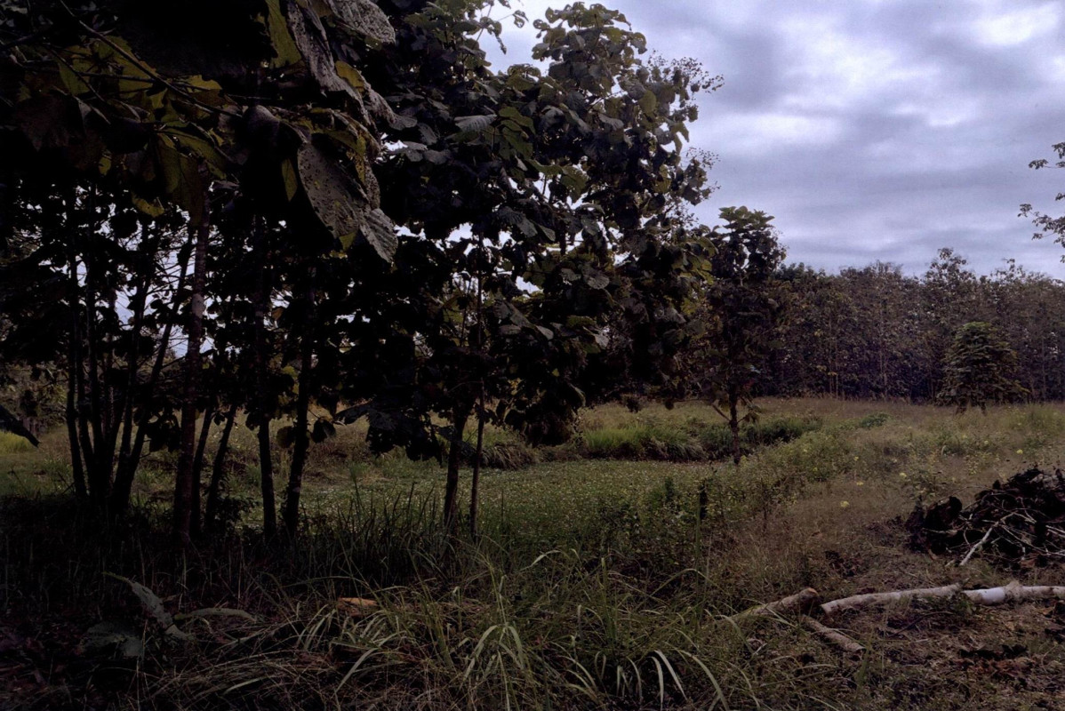 ที่ดินเปล่า แพร่ วังชิ้น วังชิ้น 173940