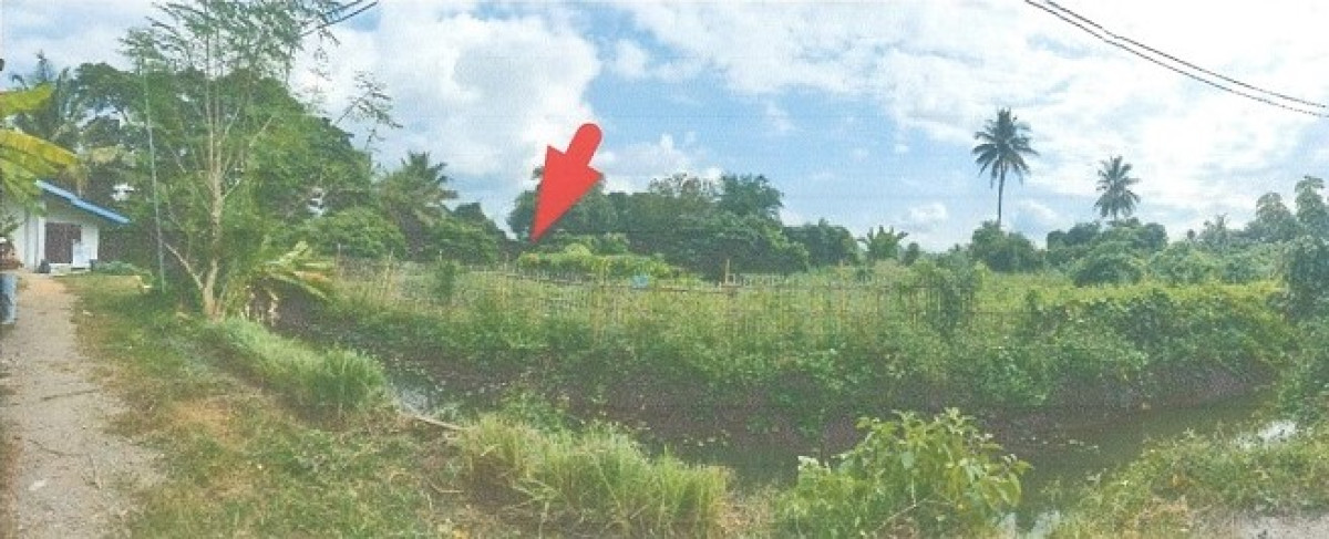 ที่ดินเปล่า ลำพูน เมืองลำพูน เวียงยอง 271040