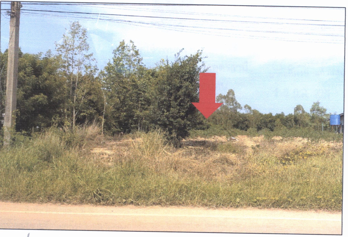 ที่ดินเปล่า อุดรธานี นายูง นายูง 647680