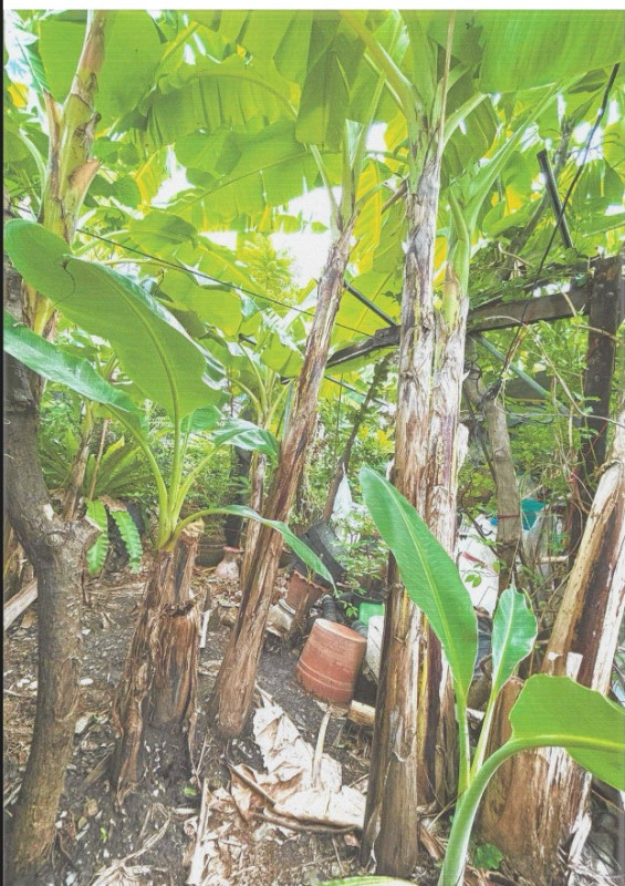 ที่ดินเปล่า กรุงเทพมหานคร บางนา บางนา 1740000