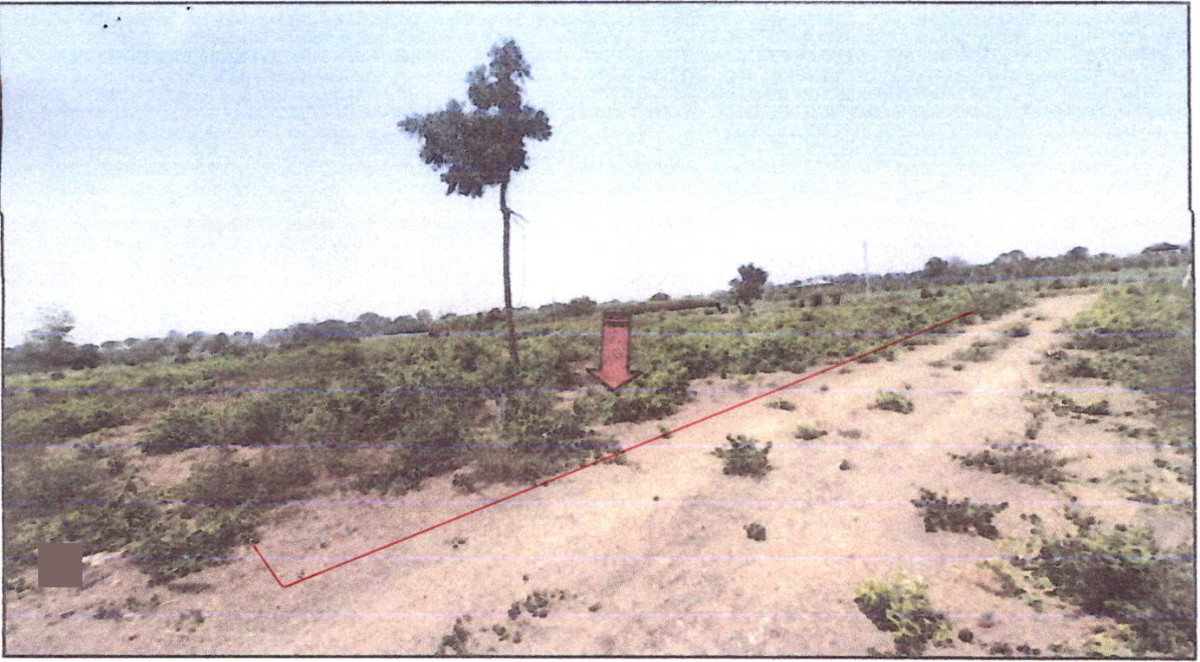 ที่ดินเปล่า นครปฐม กำแพงแสน กระตีบ 29700