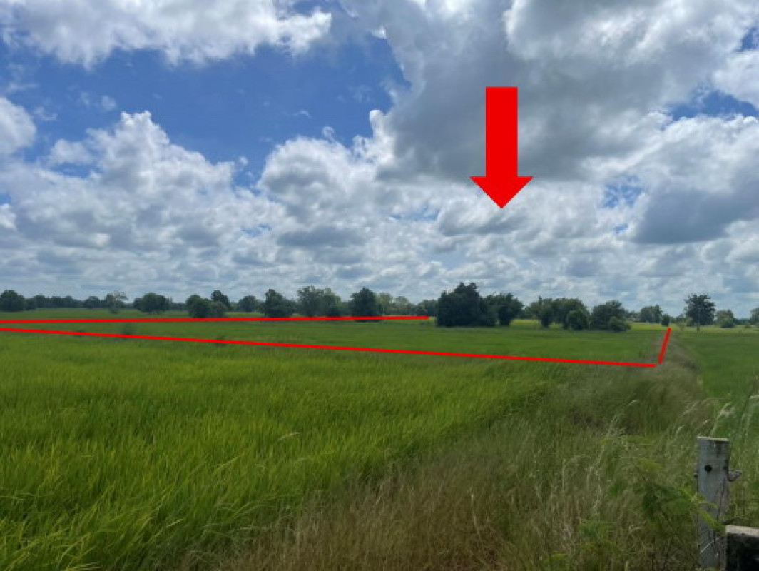 ที่ดินเปล่า มหาสารคาม วาปีปทุม หนองทุ่ม 362765