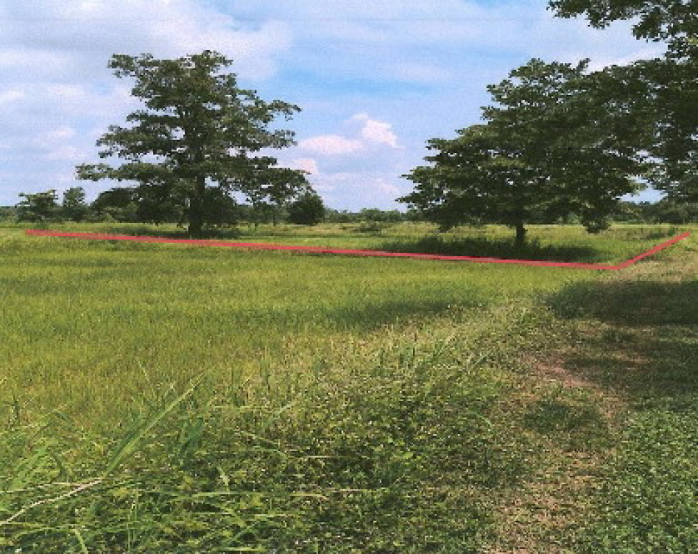 ที่ดินเปล่า มหาสารคาม วาปีปทุม โพธิ์ชัย 220000