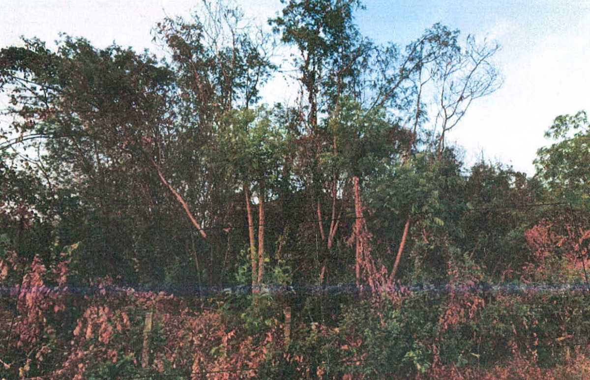 ที่ดินเปล่า สุรินทร์ เมืองสุรินทร์ ในเมือง 1271400