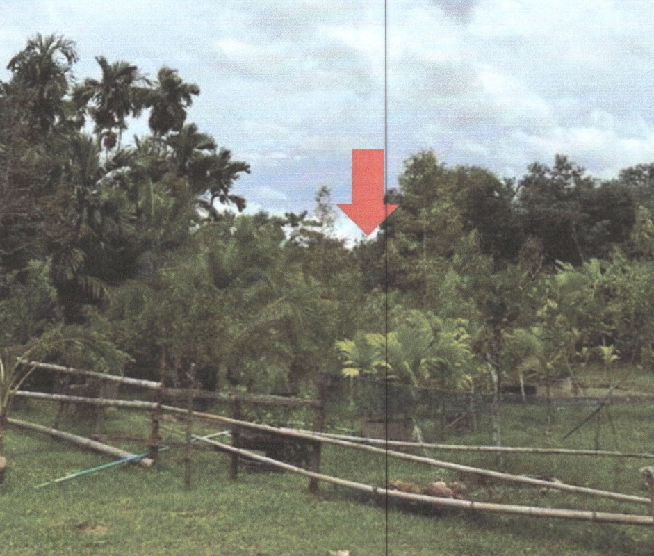 ที่ดินเปล่า พัทลุง กงหรา ชะรัด 315940