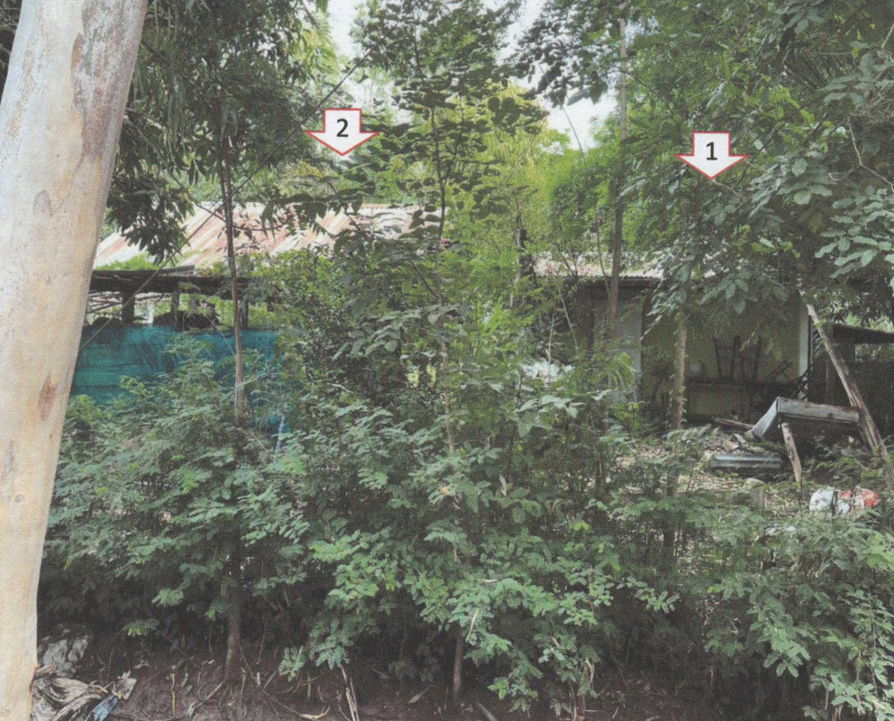 Single house Nakhon Sawan Phayuha Khiri Wang Mueang 382512