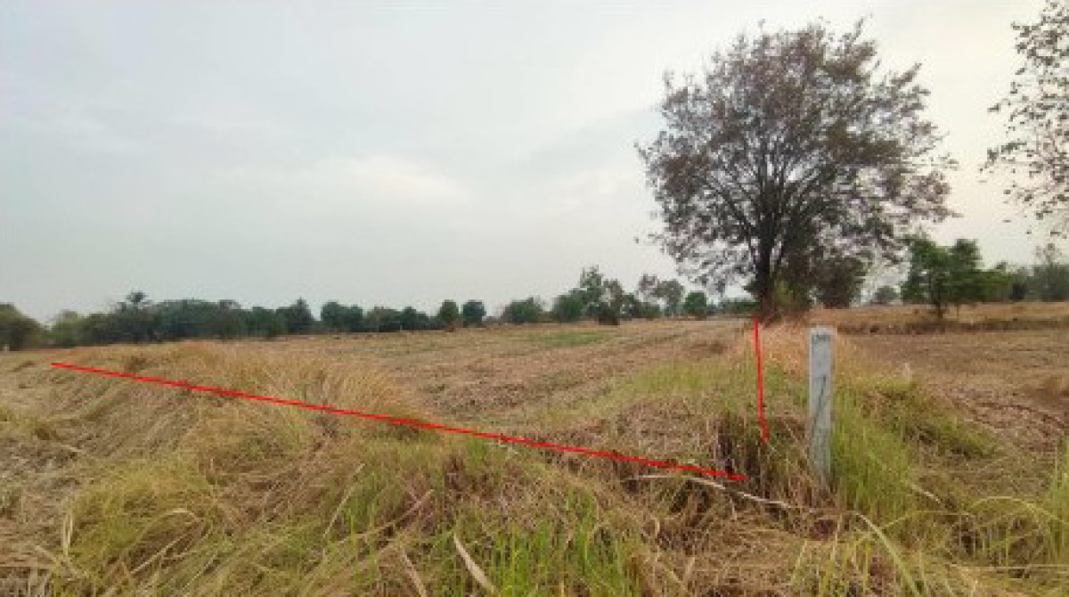 ที่ดินเปล่า นครราชสีมา บัวใหญ่ กุดจอก 240000