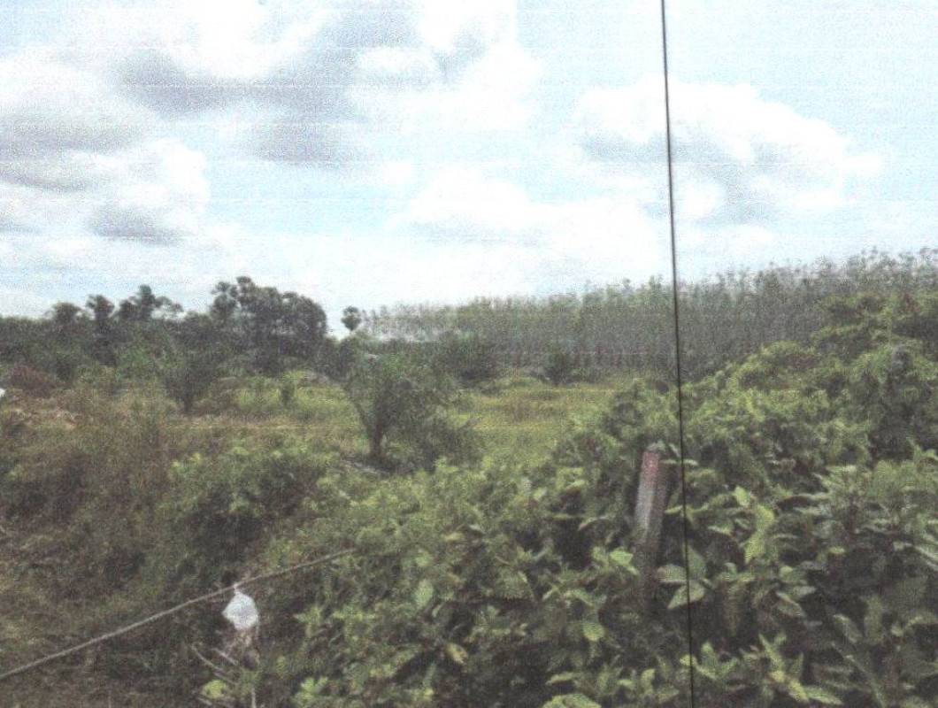 ที่ดินเปล่า พัทลุง เขาชัยสน หานโพธิ์ 602820