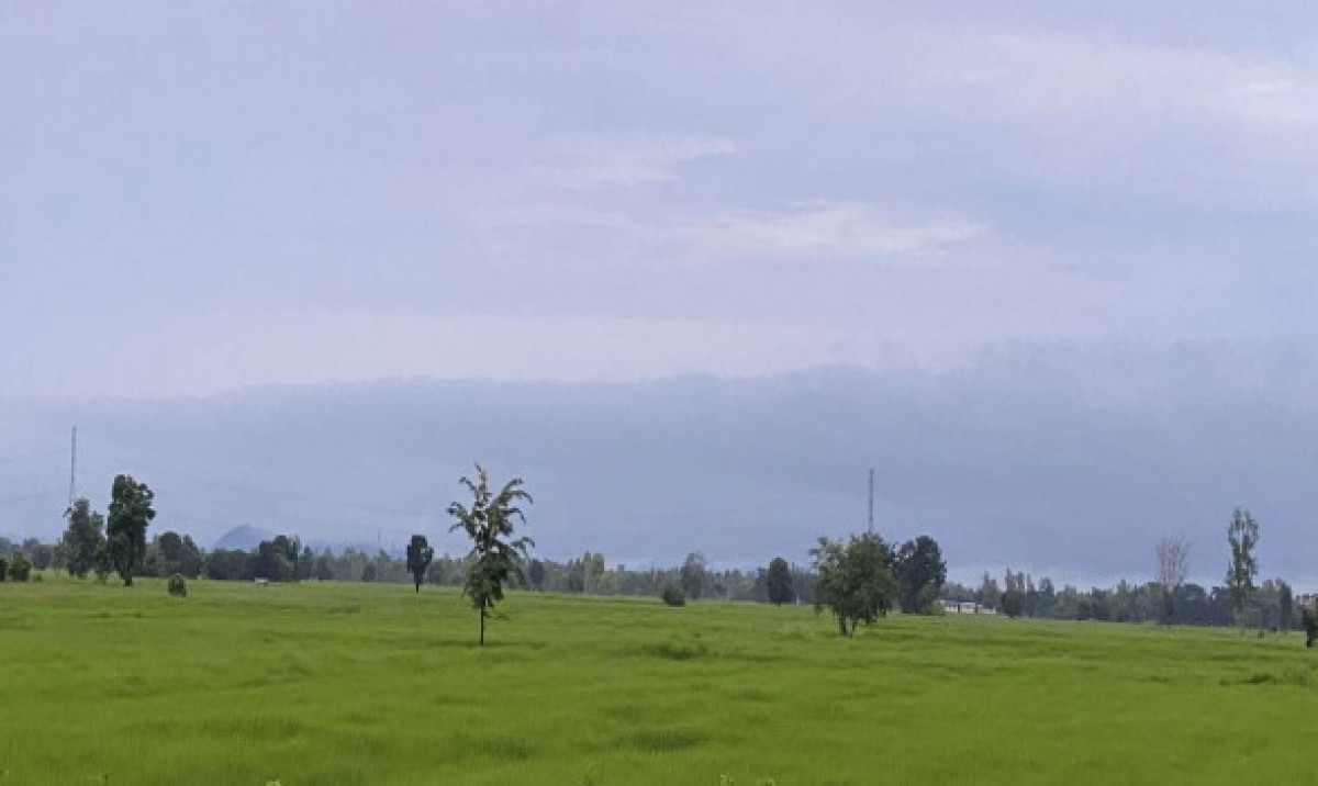 ที่ดินเปล่า นครสวรรค์ ไพศาลี โคกเดื่อ 827300