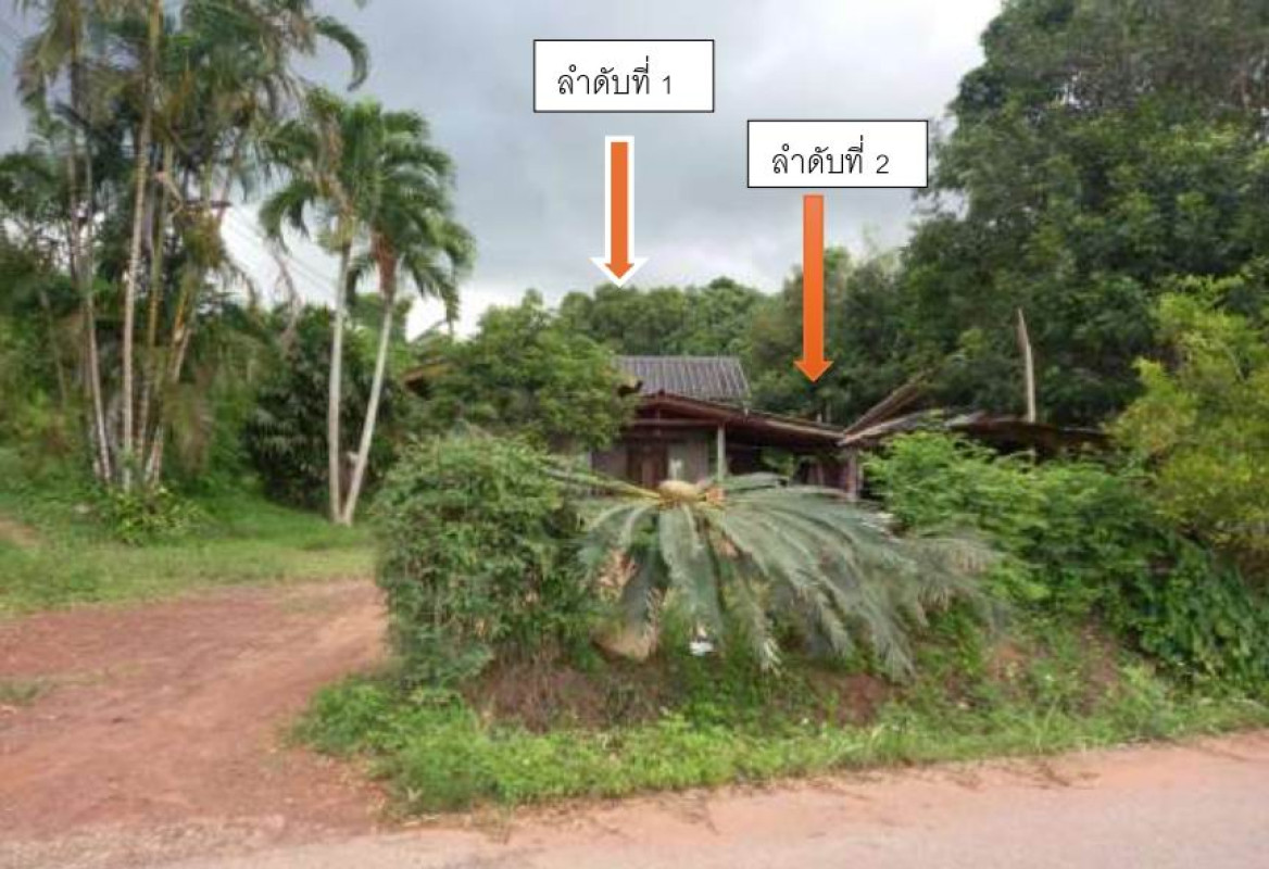 บ้านเดี่ยว สุราษฎร์ธานี เคียนซา เขาตอก 387936