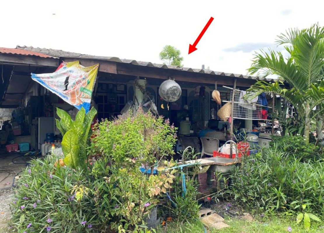 บ้านเดี่ยว ราชบุรี บ้านโป่ง ปากแรต 533552