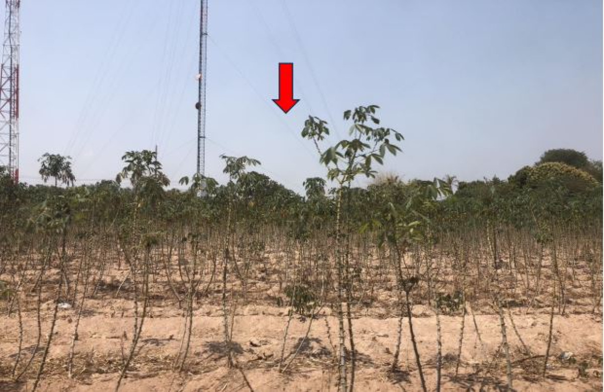 ที่ดินเปล่า อุดรธานี กู่แก้ว บ้านจีต 410400