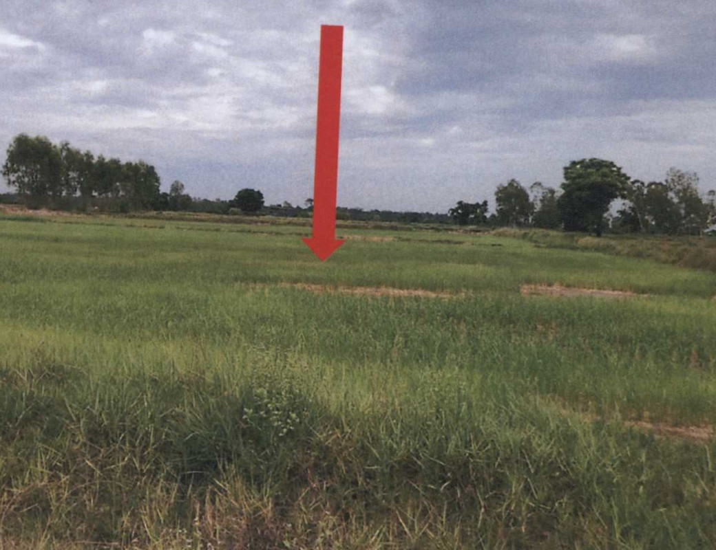 ที่ดินเปล่า มหาสารคาม กันทรวิชัย นาสีนวน 684000