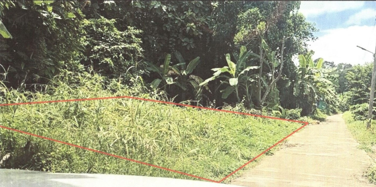 ที่ดินเปล่า พิษณุโลก พรหมพิราม วงฆ้อง 18570