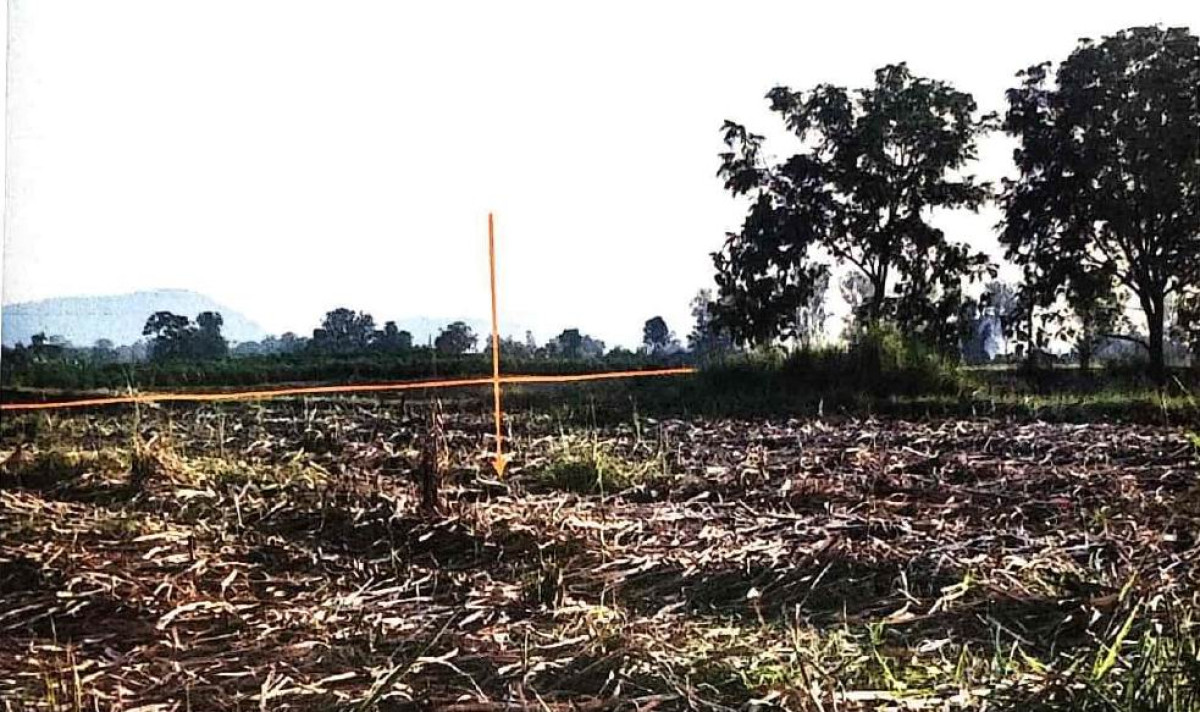 ที่ดินเปล่า สุโขทัย สวรรคโลก ป่ากุมเกาะ 590980