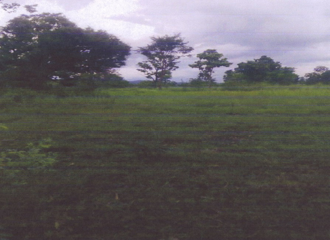 ที่ดินเปล่า หนองบัวลำภู เมืองหนองบัวลำภู โพธิ์ชัย 188100