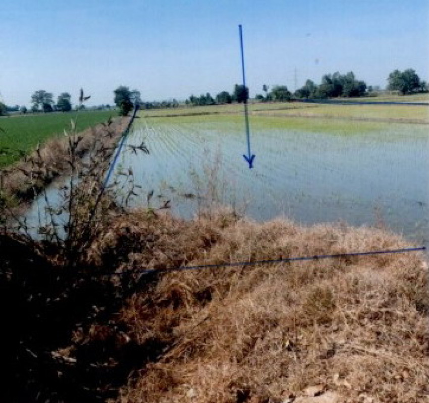 ที่ดินเปล่า กำแพงเพชร คลองขลุง ท่าพุทรา 750867