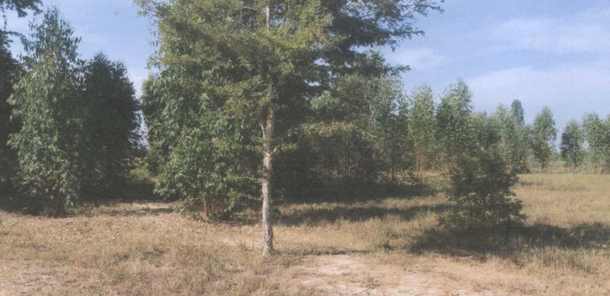 ที่ดินเปล่า มหาสารคาม กันทรวิชัย ขามเรียง 600000